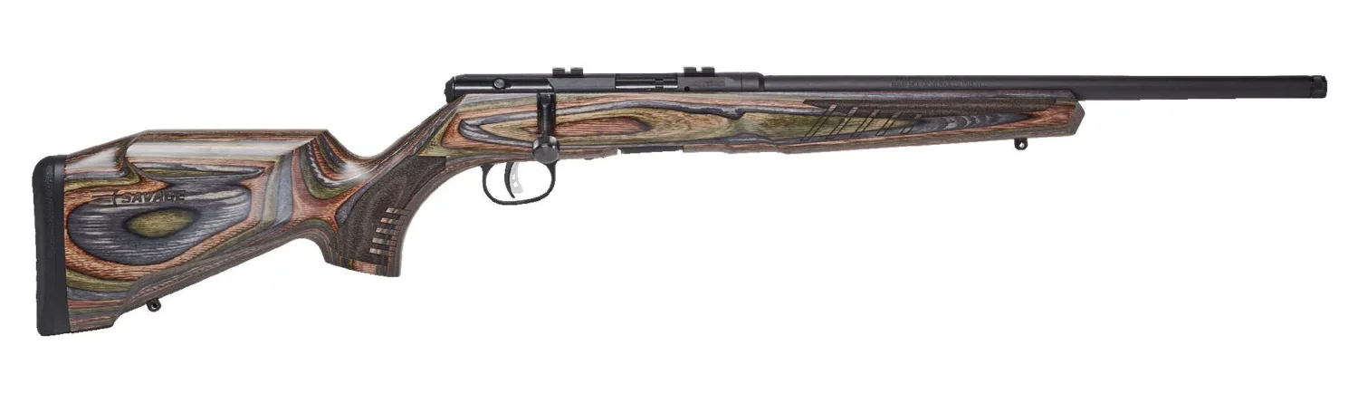 Savage Arms B22 BNS-SR 22LR Bolt-Action Rifle with 18-Inch Barrel and Black Laminate Finish